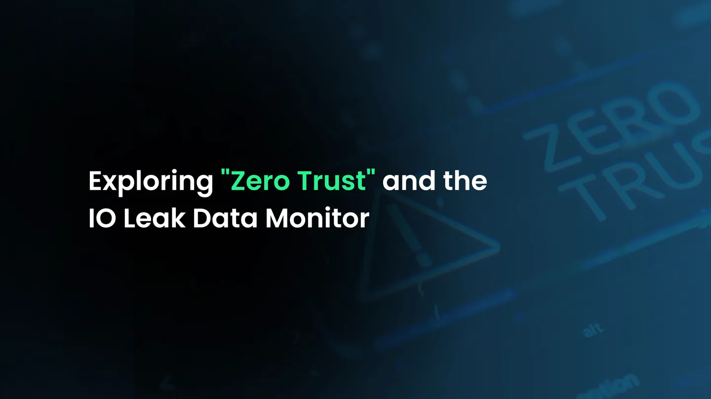 Exploring "Zero Trust" and the IO Leak Data Monitor